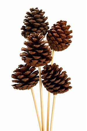 <h4>DECO PINECONE O/ST NATURAL X5 BUNCH</h4>