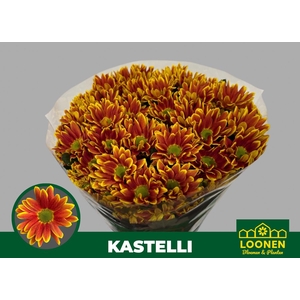 CHR T KASTELLI