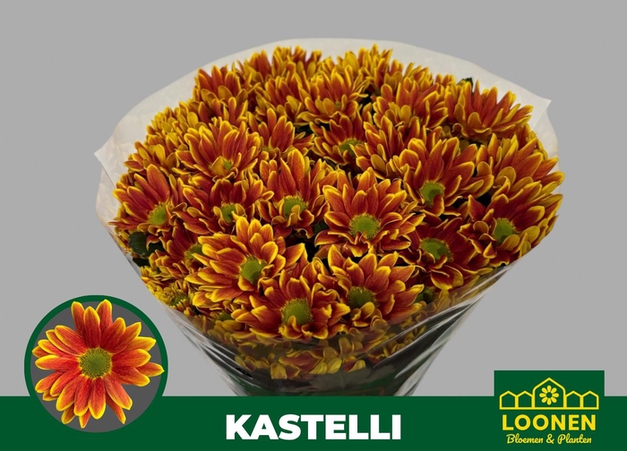 <h4>CHR T KASTELLI</h4>