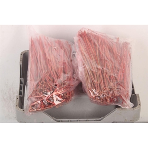 Pineneedles Red Metallic Bag