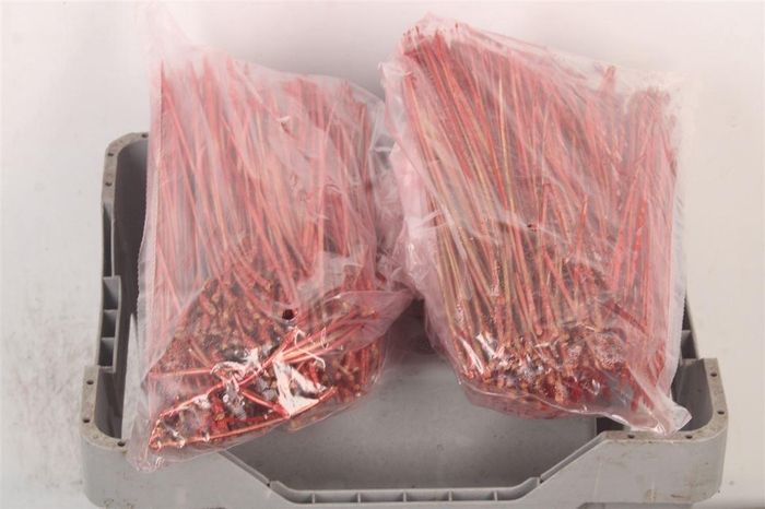 <h4>Pineneedles Red Metallic Bag</h4>