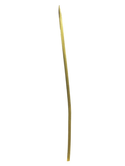 SILK FLOWERS - PHYTOLACA GOLD 24PCS 74CM