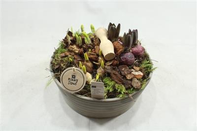 <h4>3691 BM T.C GREY</h4>