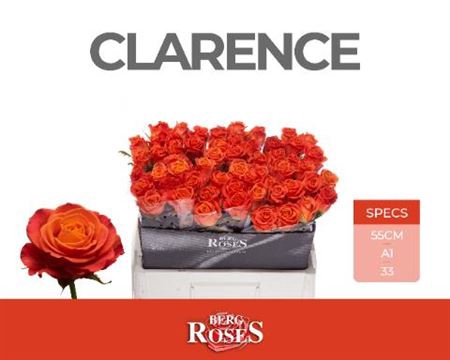 <h4>R Gr Clarence</h4>