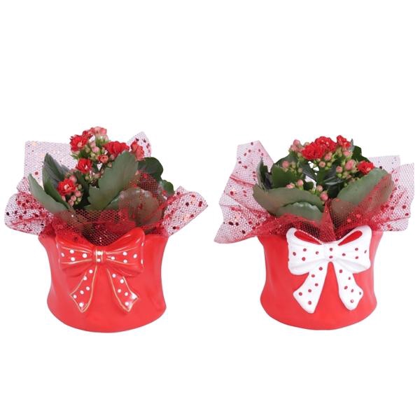 <h4>Christmas Arr. Indoor Ceramic Pot Dotted Bow Red Ø09cm 1PP</h4>
