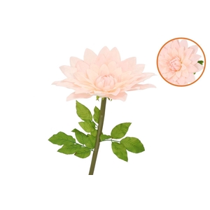 Silk Amazing Dahlia Beauty Peach Xxxl 65x145cm