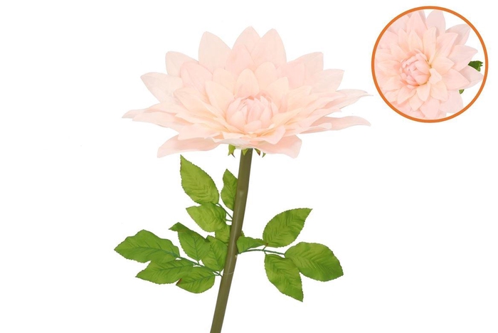 <h4>Silk Amazing Dahlia Beauty Peach Xxxl 65x145cm</h4>