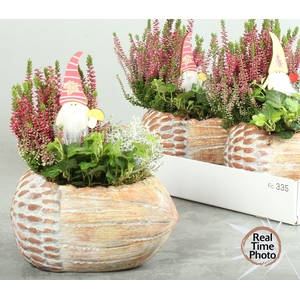 ARR TUINPLANTEN