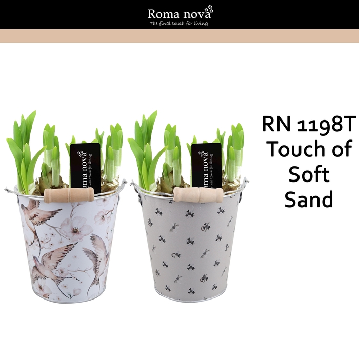 <h4>Narcis Rom 1198T Touch Of Soft Sand</h4>