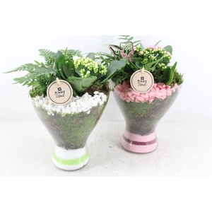 arr2 PL - Glas diabolo - roze/wit