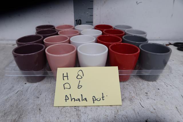 <h4>HUIS EN TUINDECO H%</h4>