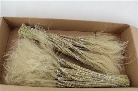 <h4>Stypha Natural</h4>