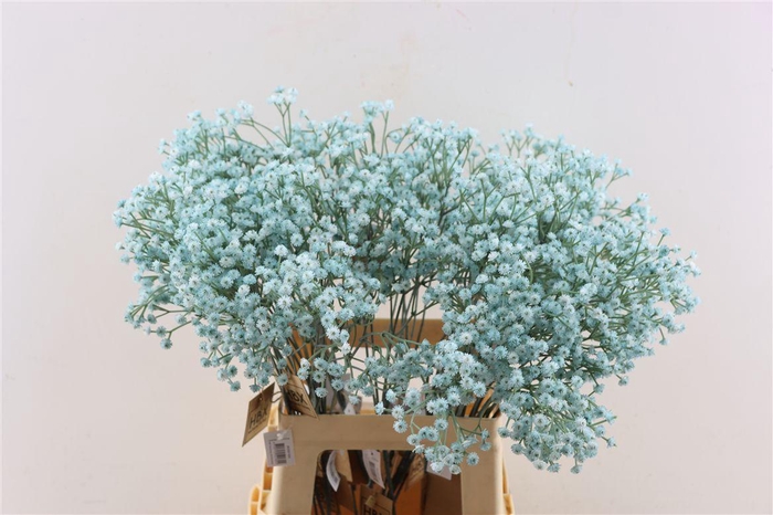 <h4>Artificial Stem Gyps Blue</h4>