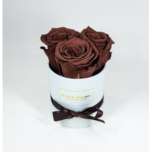 Box rd 10cm wit-grape(grp02)