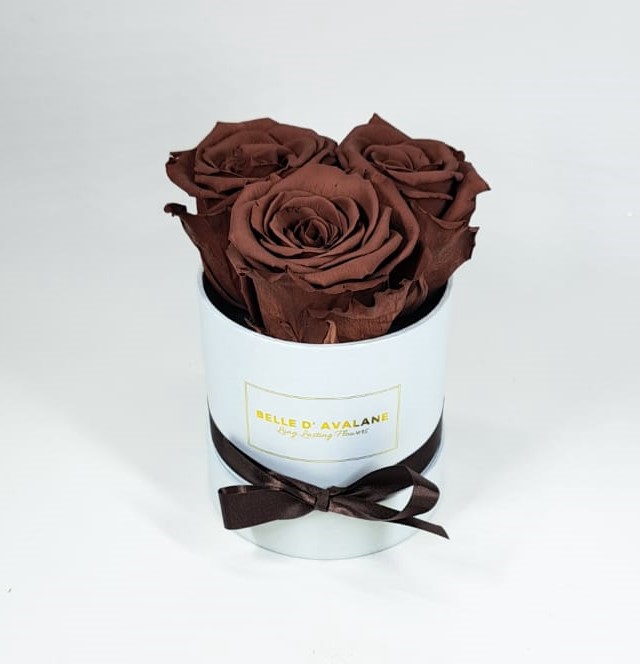 Box rd 10cm wit-grape(grp02)