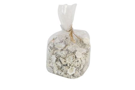 <h4>Shell Star Limpit L6w6h13</h4>