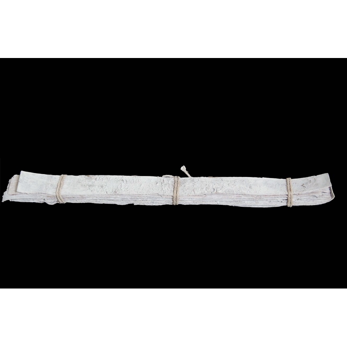 <h4>BARK BIRCH 70*5CM MISTY WHITE 10PCS</h4>