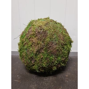 Ball Moss Green 30cm