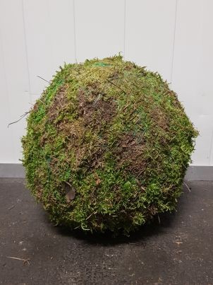 <h4>Ball Moss Green 30cm</h4>