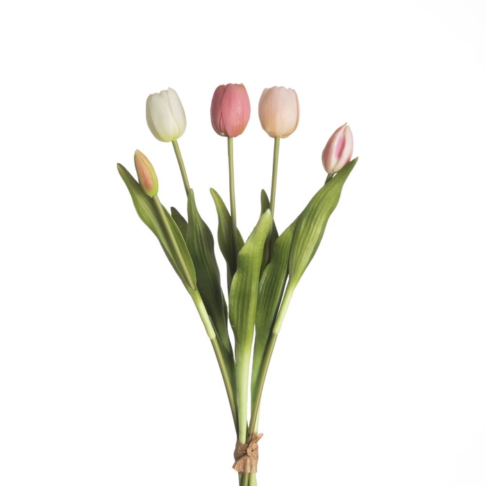 AF Tulip Bundle x5 L43cm Mix P