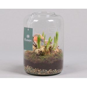 Green Bottle Isabella Medium Pasen met Narcissen