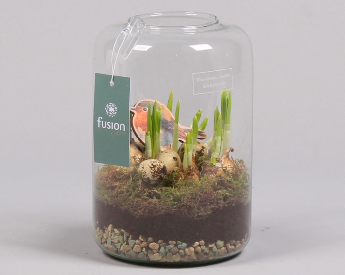 <h4>Green Bottle Isabella Medium Pasen met Narcissen</h4>