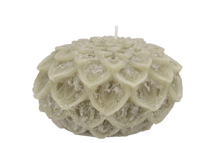 <h4>Candle Dahlia Pistache 12x8cm Nm</h4>