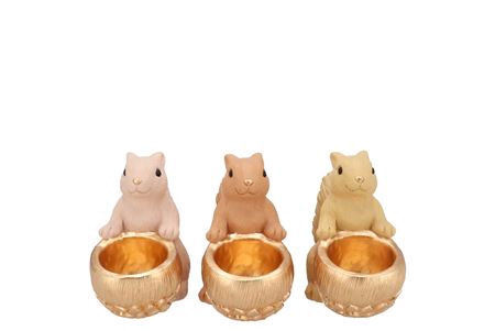 <h4>Jingle Warm Sand Mix Squirrel Sitting Ass 17x9x14c</h4>