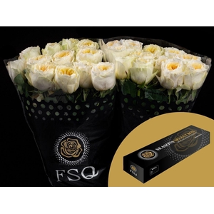 R GR Gar Antonia Garden Box