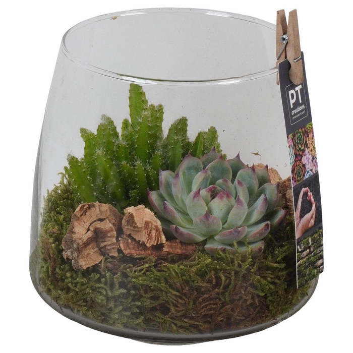 <h4>PTGIG2133 Arrangement Greens in glass in glazen vaas</h4>