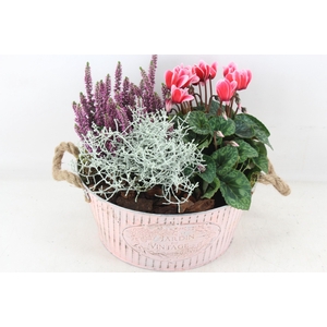 arr4 Outdoor PL - Zink jardin roze