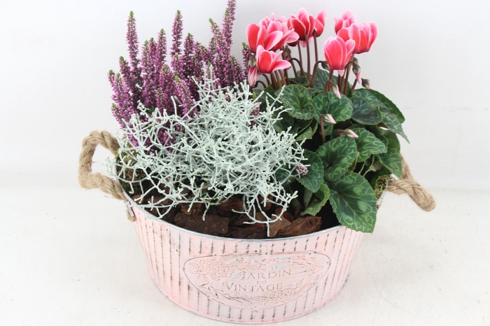<h4>arr4 Outdoor PL - Zink jardin roze</h4>