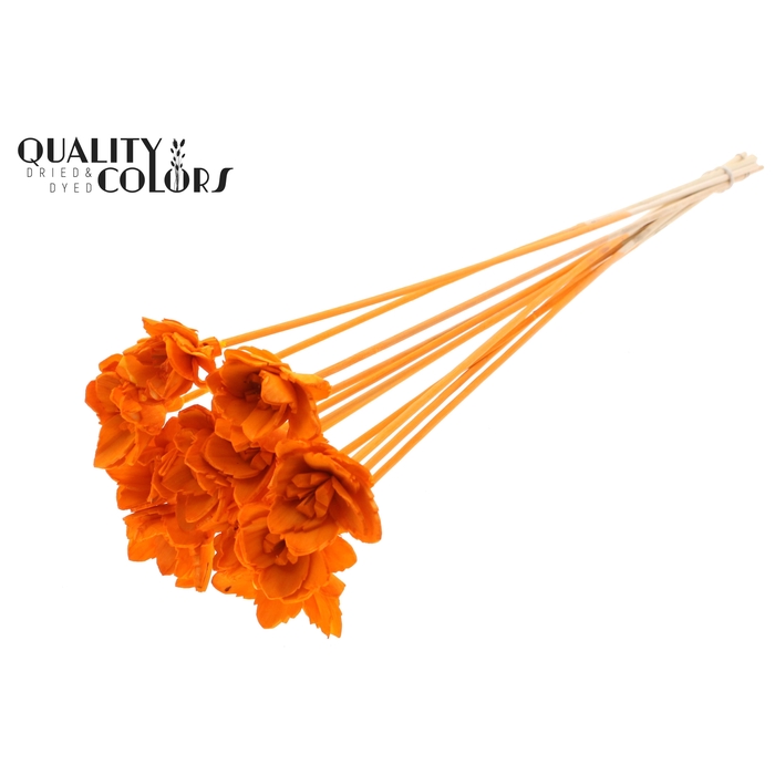 <h4>Shola Queen Flower on stem Orange</h4>