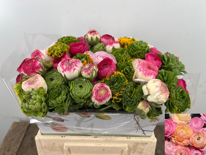 <h4>RAN GEM IN BOS</h4>