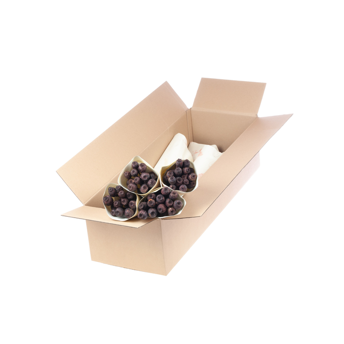 <h4>Papaver deep brown</h4>