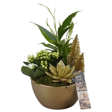 <h4>PTCHG5605 Arrangementen Kerst</h4>