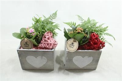 <h4>5468 HOUT VK WW</h4>