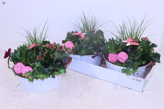 <h4>ARR TUINPLANTEN</h4>