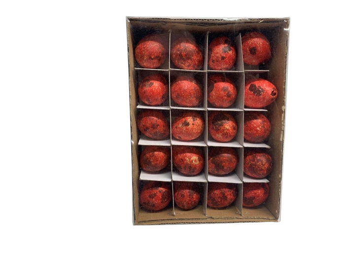 <h4>Ei Kwartel (60pcs) Rood</h4>