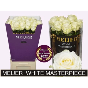 R Gr Avalanche White Masterpiece Meijer Super