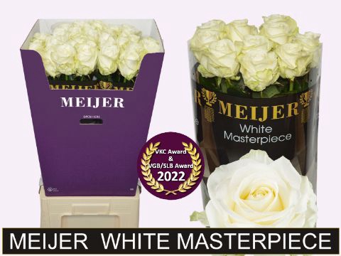 <h4>R Gr Avalanche White Masterpiece Meijer Super</h4>