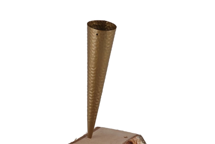 <h4>Waxinepunt Goud 20cm Nm</h4>