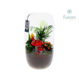 Green Bottle Isabella XXLarge Herfst met Arrangement
