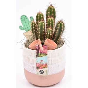 Keramiek pot wit/roze 12cm