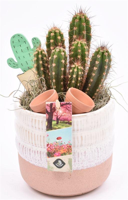 <h4>Keramiek pot wit/roze 12cm</h4>