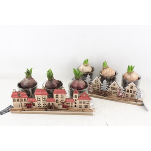 arr4 Hyacint FL - City light 3p LED