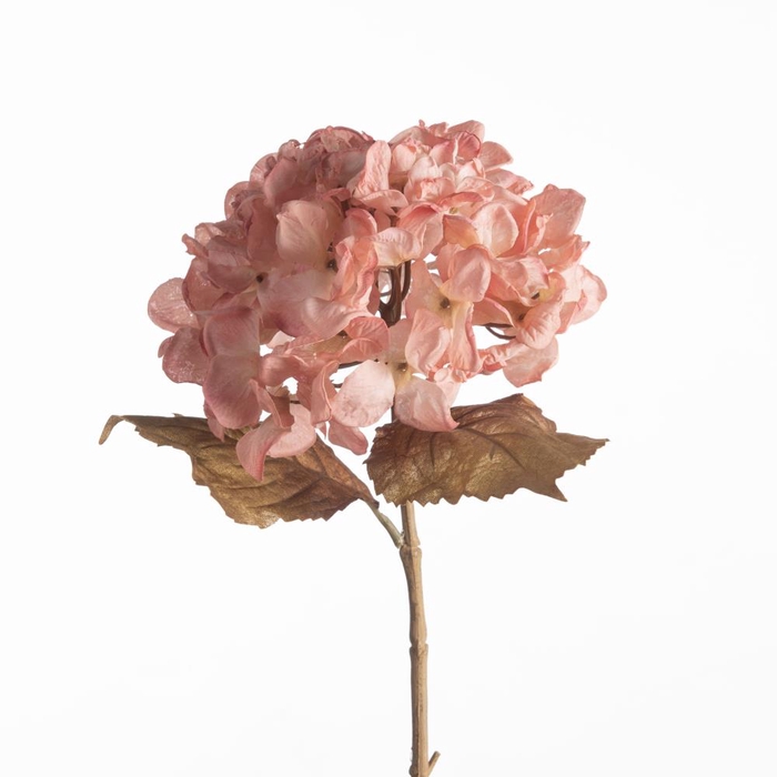 Af Hydrangea Dried L61cm Pink