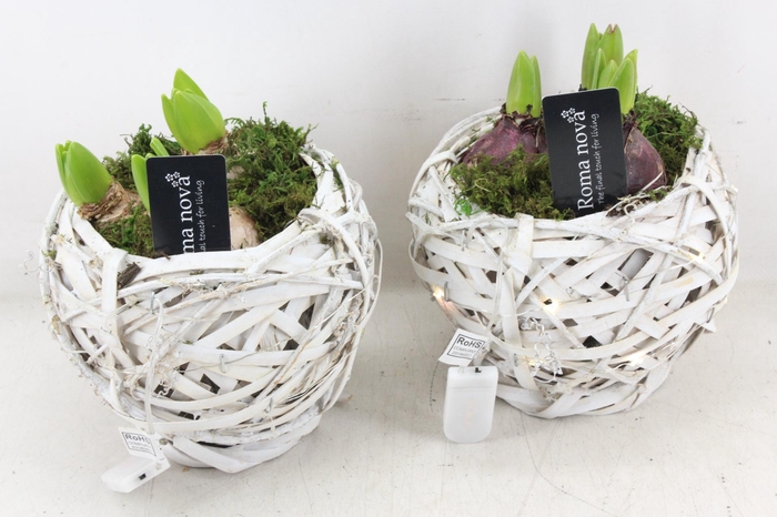 <h4>arr4 Hyacint RN - Basket with light</h4>