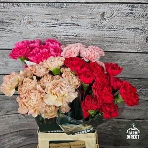 DI ST GEMENGD IN FUST