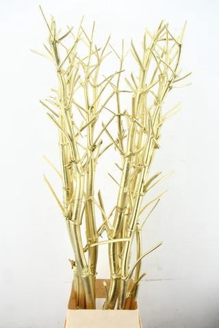 <h4>Ferule Kapstok Gold</h4>